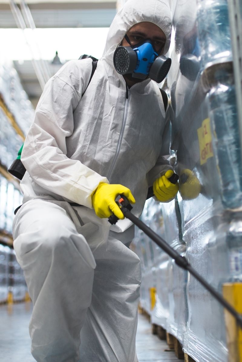 Residential Pest Control in Strathfield