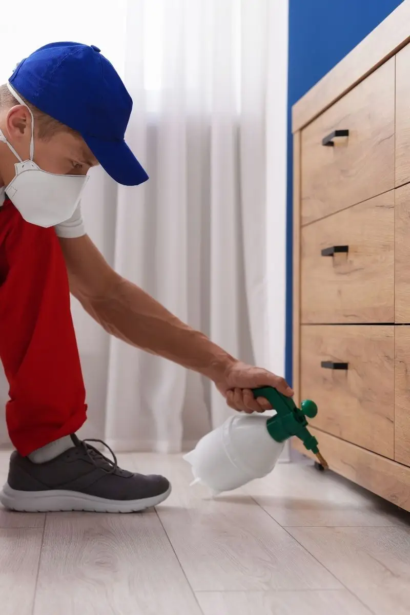 5 Ways to Make Your Woolloomooloo Home Less Inviting to Pests