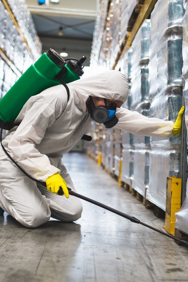 Commercial Pest Control in Ultimo