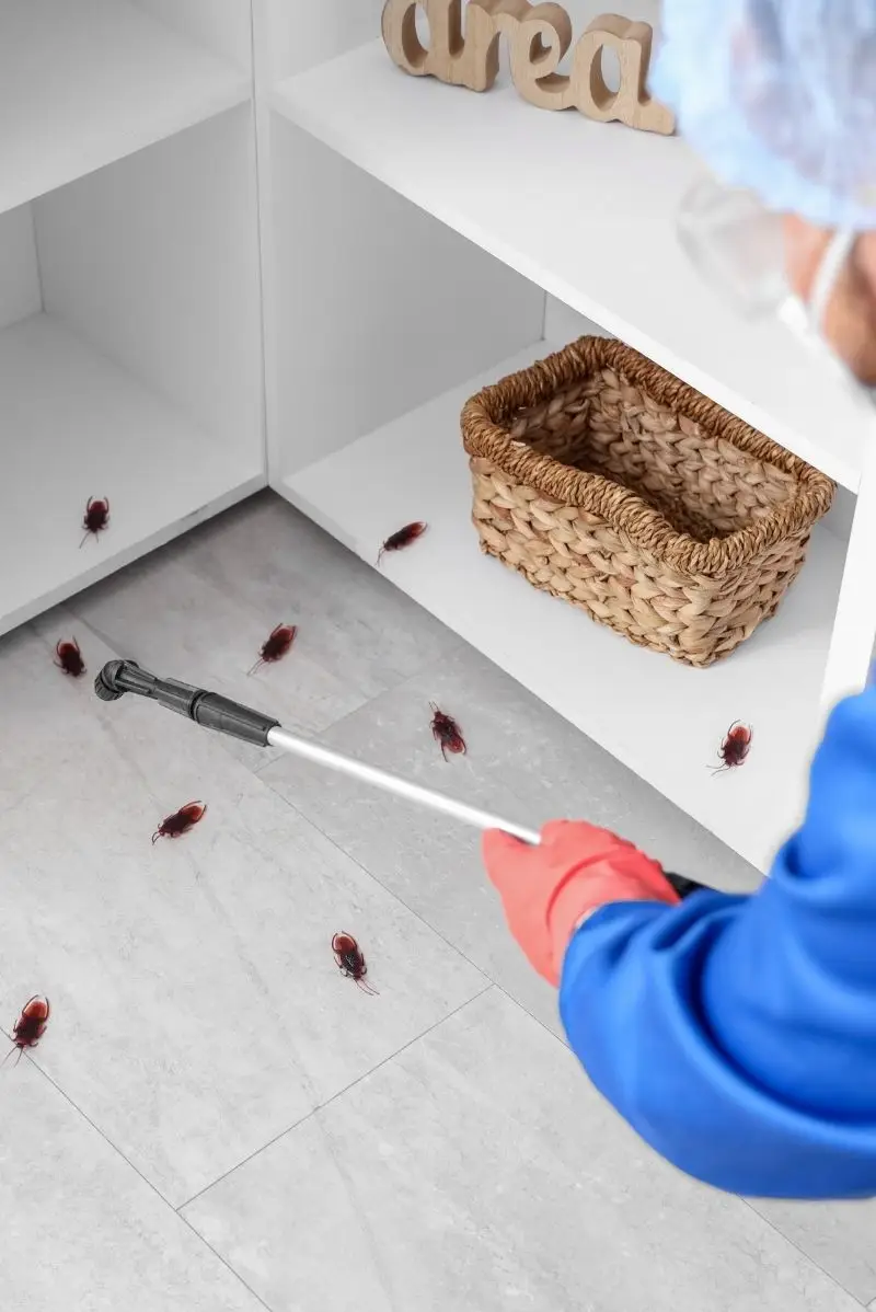 Discreet Pest Control for Darlinghurst Cafes, Bars & Venues
