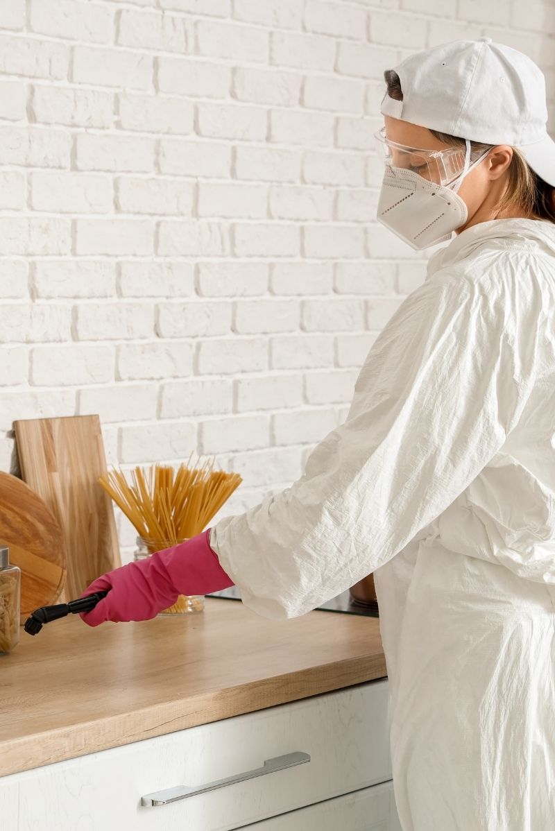 German Cockroach Control Ultimo
