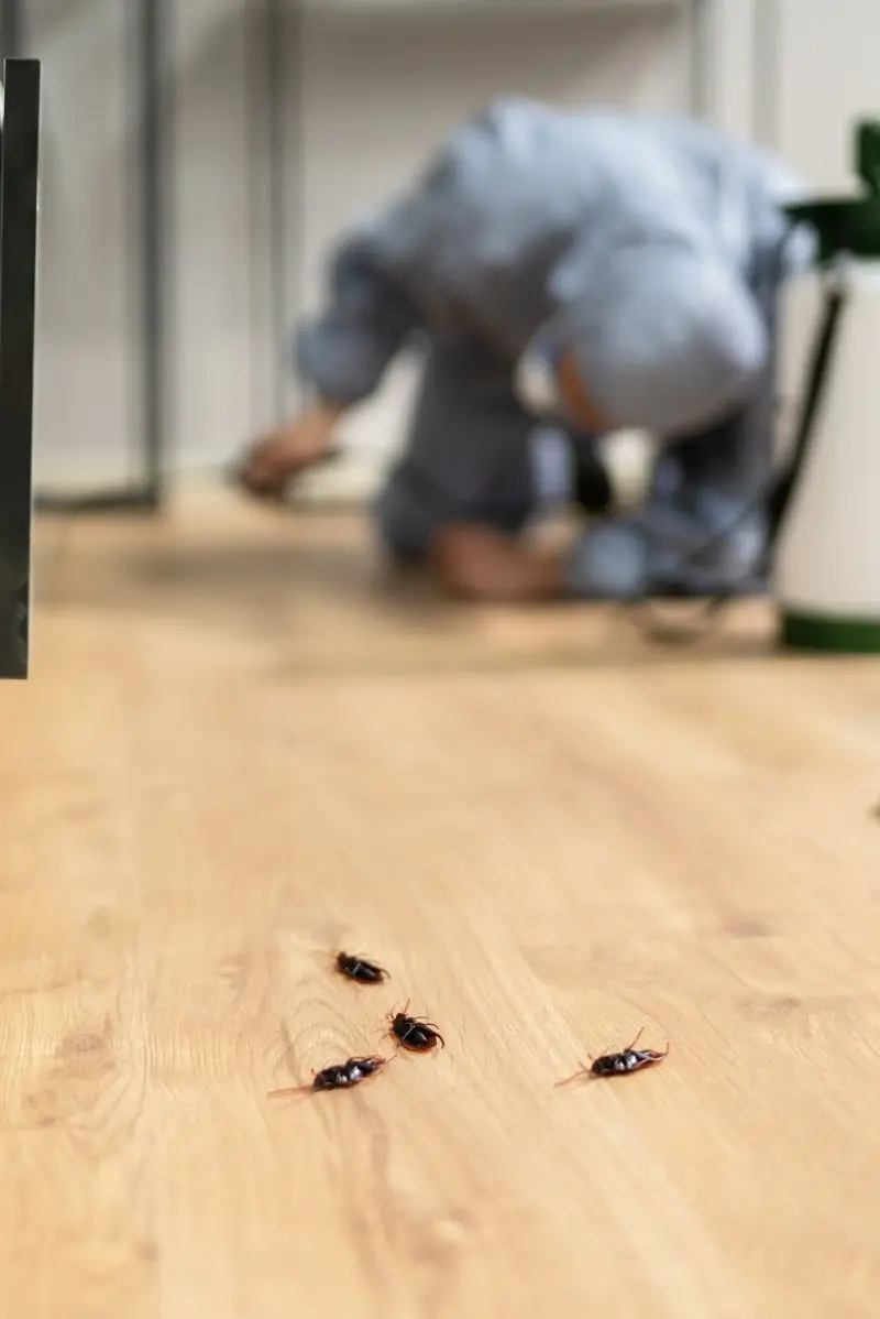 German Cockroaches & the Garbage Chute Problem