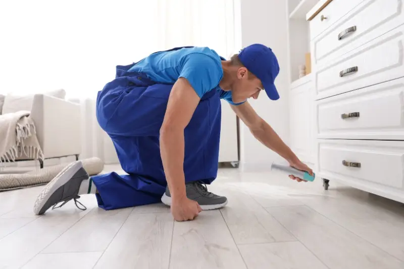 Our Pest Control Services in Breakfast Point