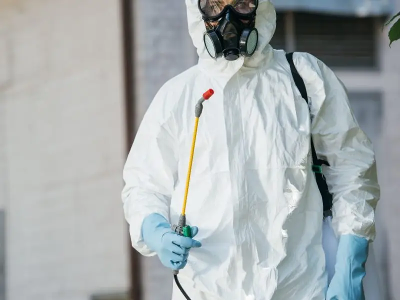 Pest Control Darlinghurst Same-Day Experts From $89