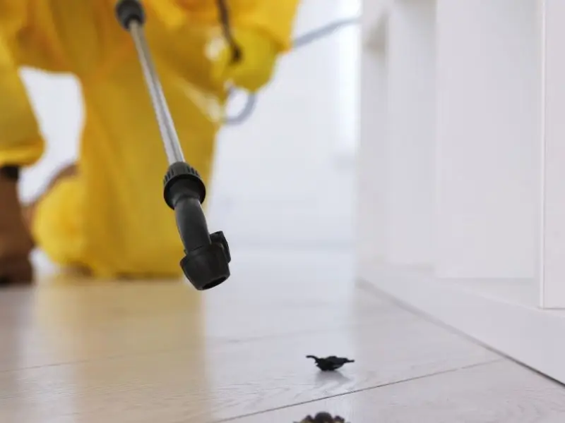Pest Control Potts Point Same-Day Experts From $89