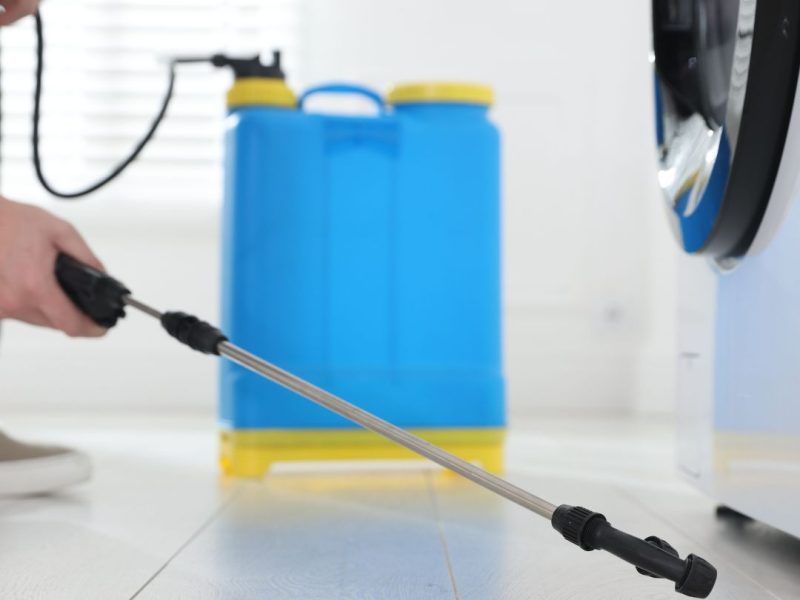 Pest Control Rushcutters Bay Same-Day From $89