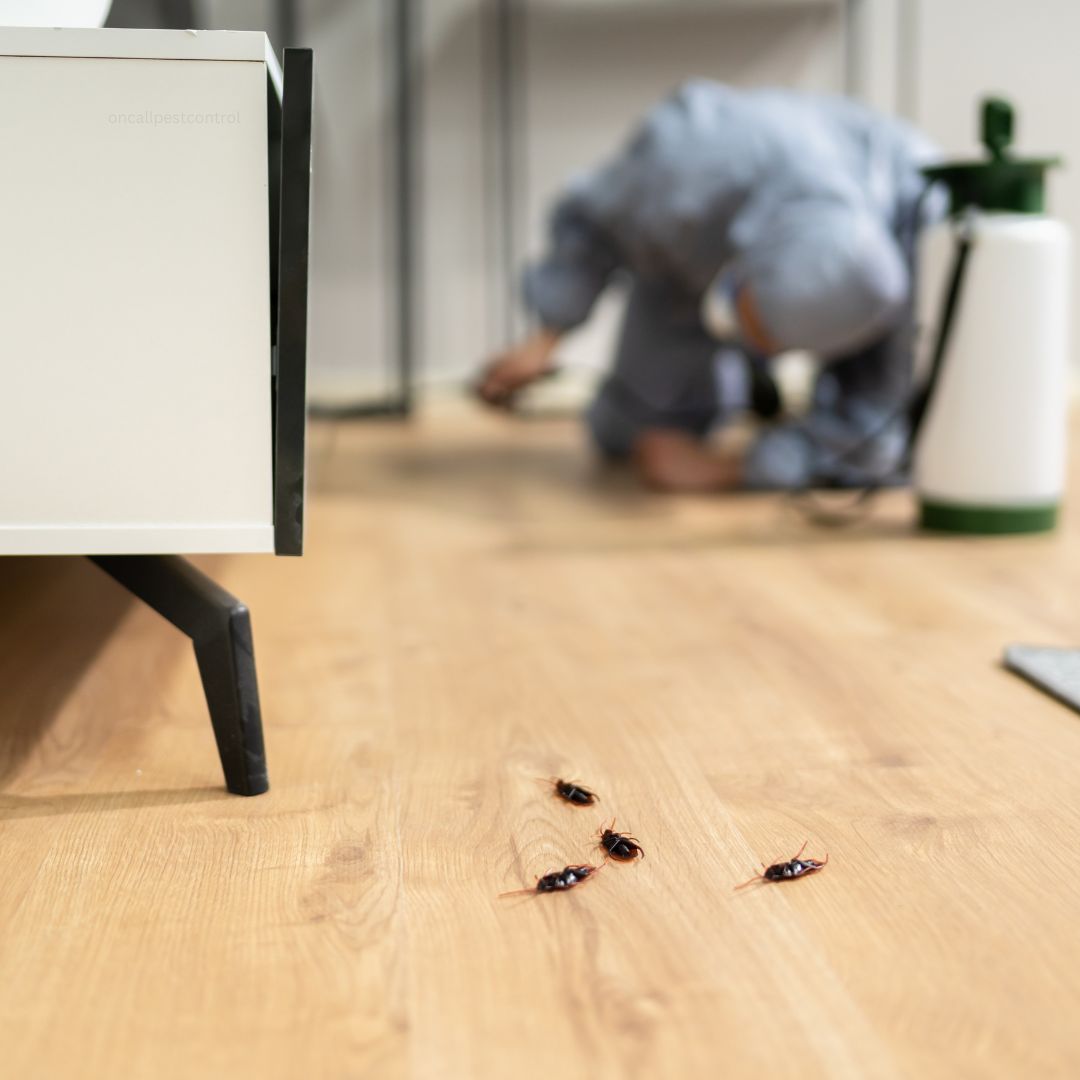 Pest Control Tempe