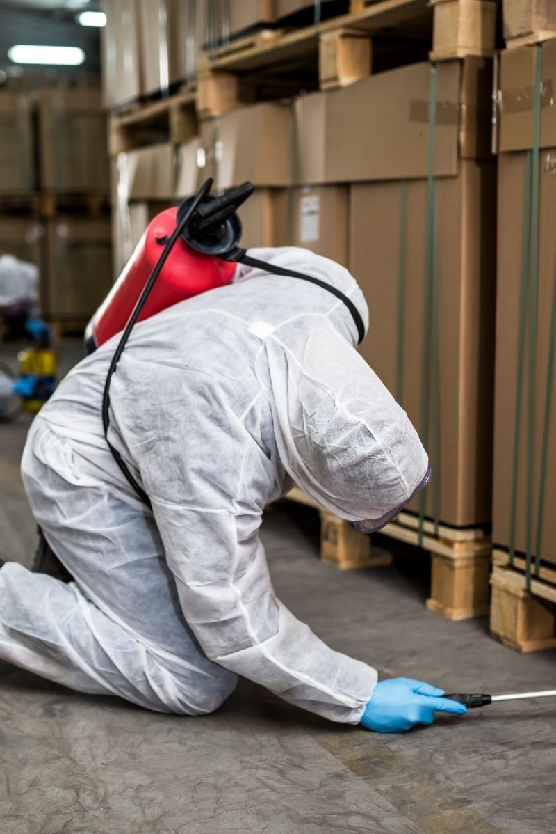 Residential Pest Control for Tempe Homes