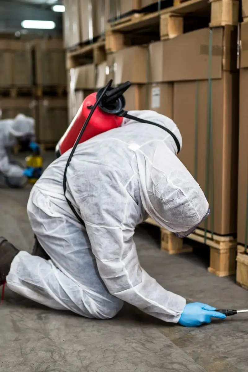 Signs You Need Pest Control in Surry Hills
