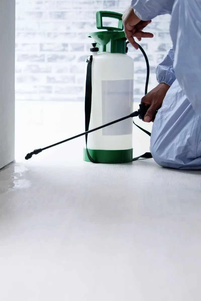 Why Eastern Suburbs Properties Need Specialist Pest Control