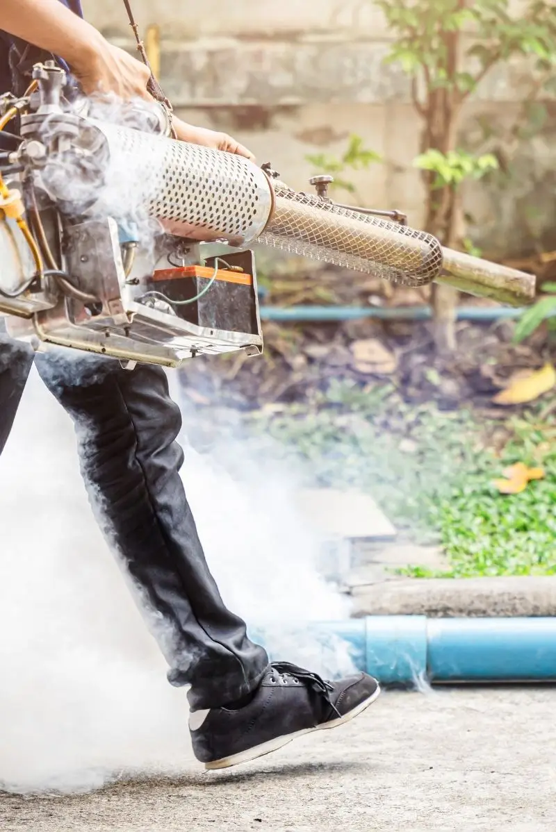 Why Surry Hills Is One of Sydney's Toughest Suburbs for Pests