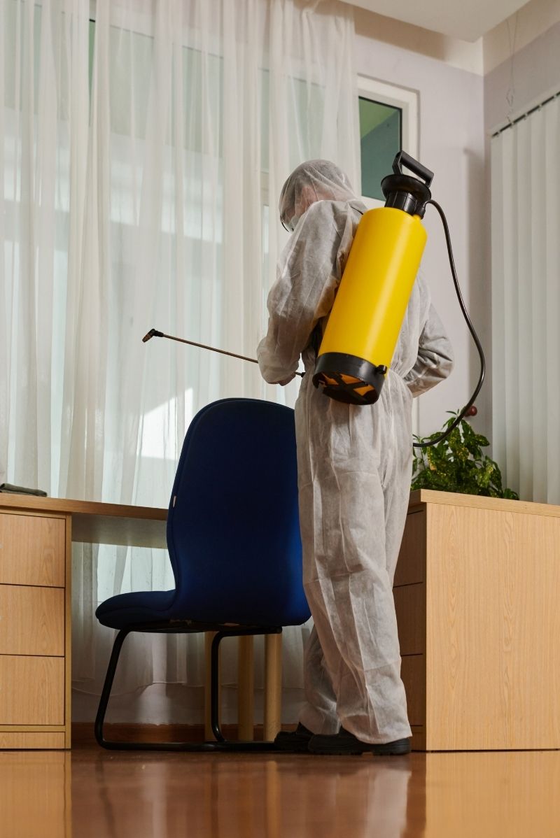 Why Sydenham Chooses On Call Pest Control