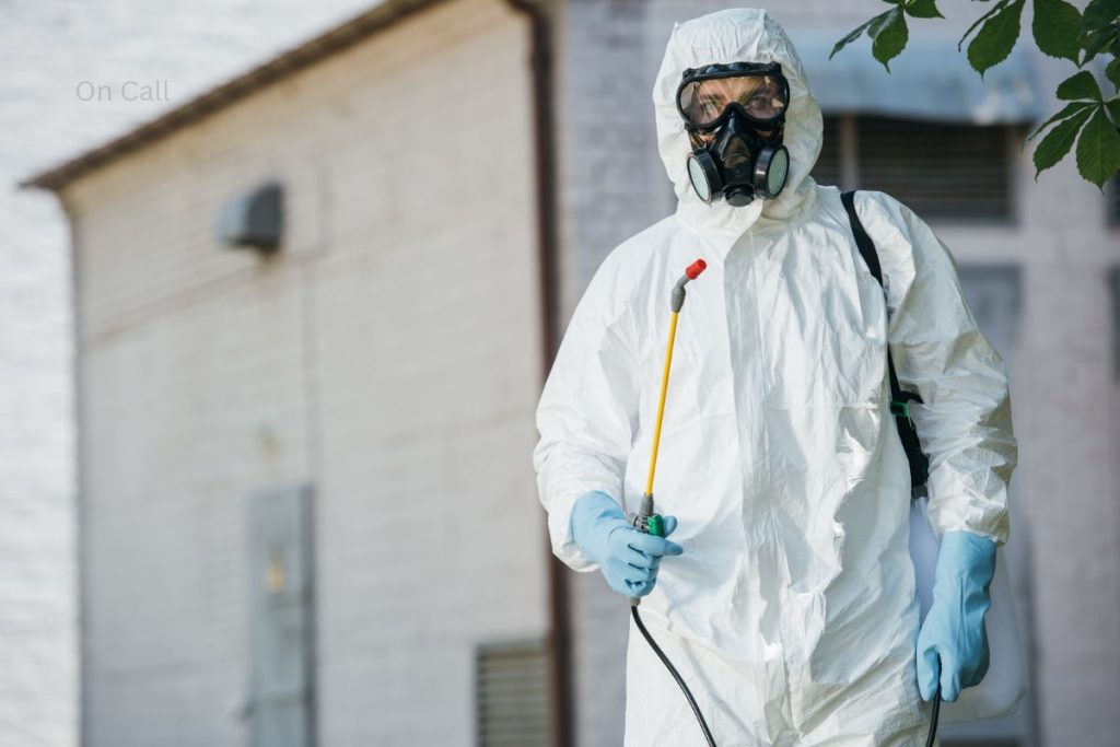 Cafe Pest Control Sydney