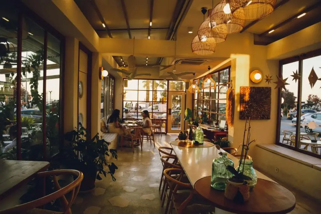 Why Cafés Are a Magnet for Pests