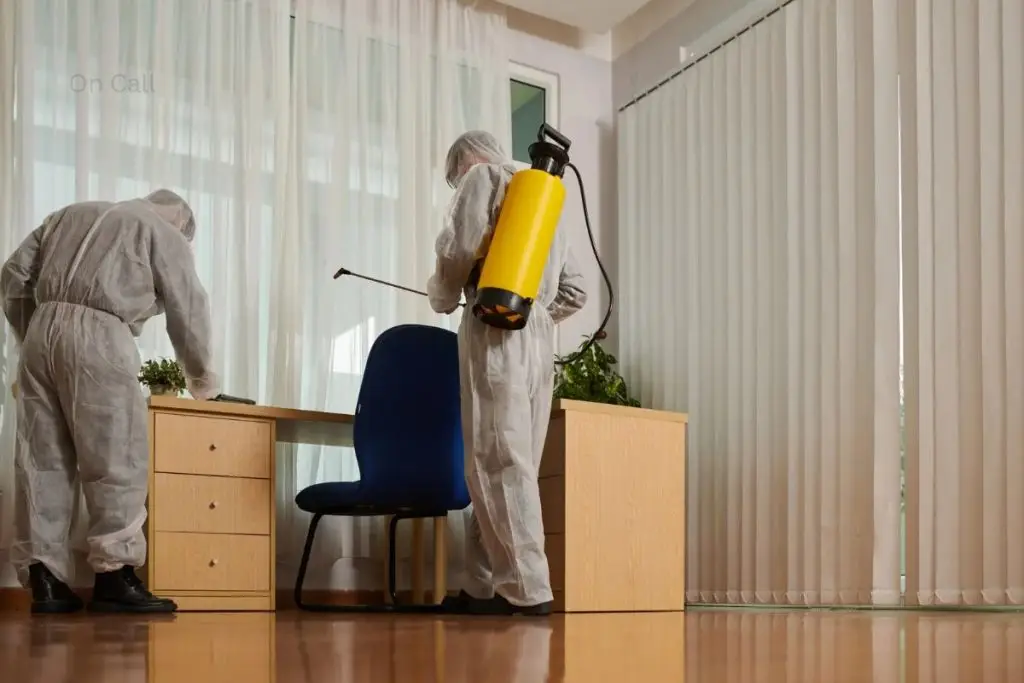 Why Property Managers Need a Reliable Pest Partner